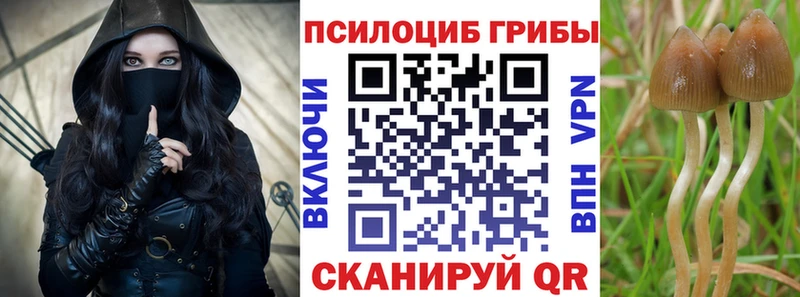 Псилоцибиновые грибы Cubensis  Сольцы 